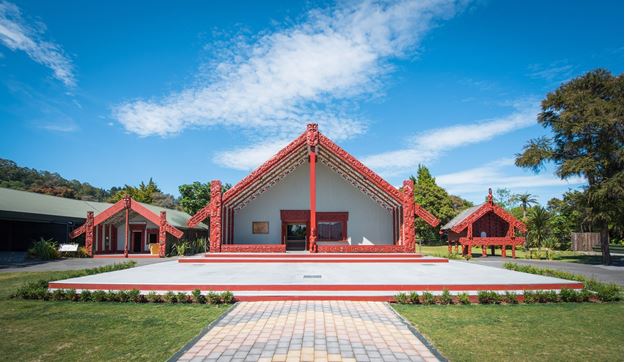 Picture of Te Rā Guided Experience + Haka Cultural Performance