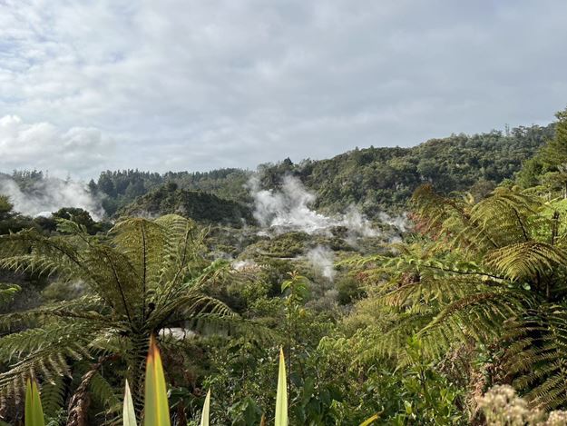 Picture of Te Ra Guided Experience & Hangi Buffet Lunch Combo