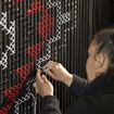 Picture of Te Rā Guided Experience + Haka Combo