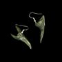 Picture of Mako Earrings - 5621KC