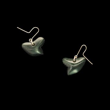 Picture of Tiger Shark Earrings - 4543IA